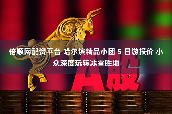 倍顺网配资平台 哈尔滨精品小团 5 日游报价 小众深度玩转冰雪胜地